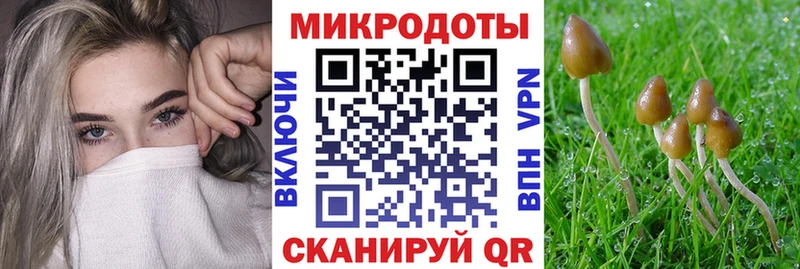 Галлюциногенные грибы ЛСД  маркетплейс какой сайт  Спасск-Рязанский 